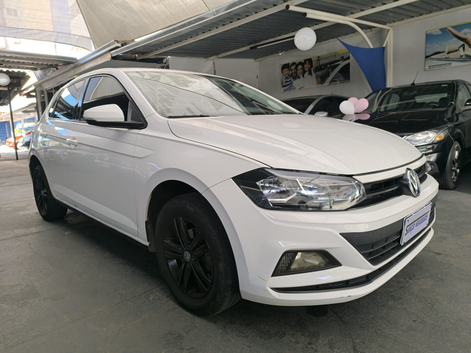 polo2